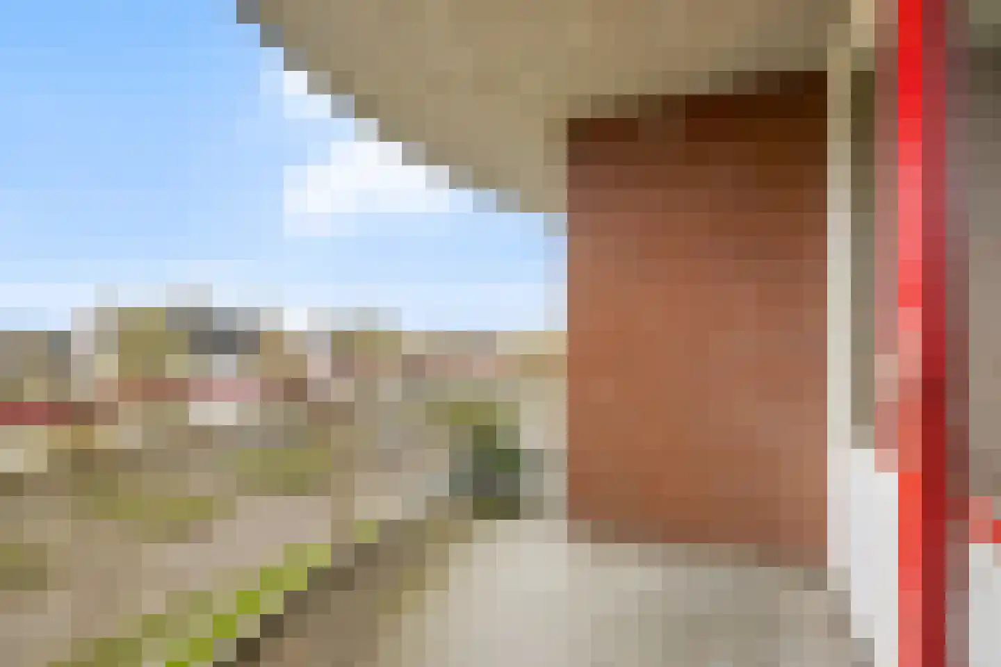 Schapenweide 42 Duiven thumbnail 23