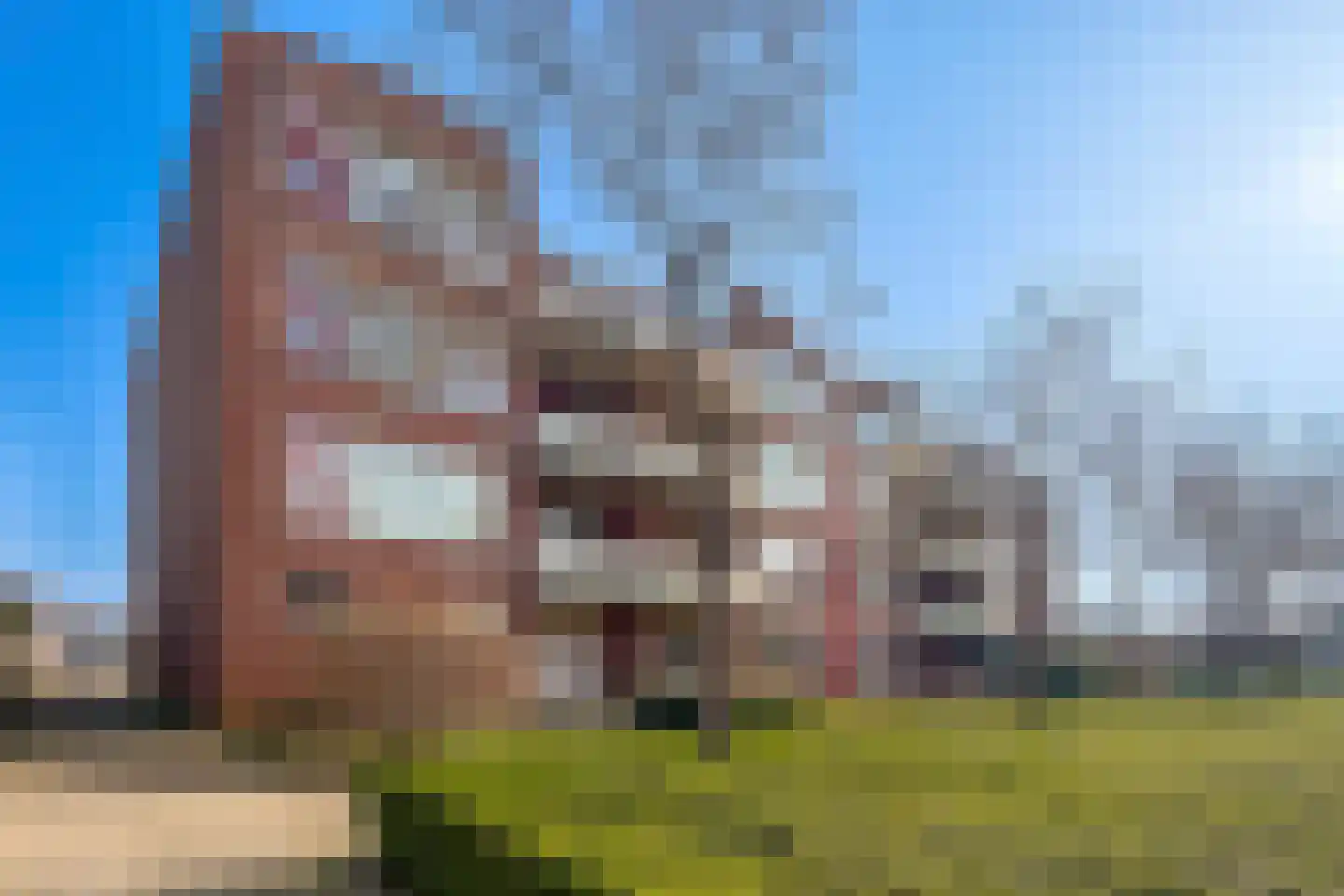 Schapenweide 42 Duiven thumbnail 5