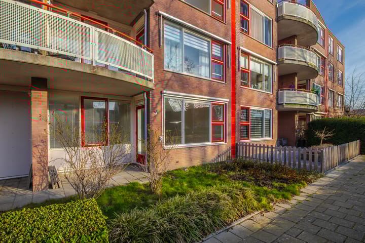 Schapenweide 6 en Duiven foto