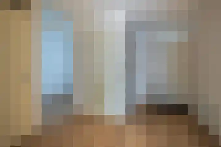 Schapenweide 6 Duiven thumbnail 11