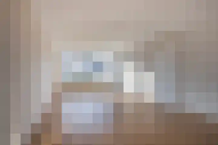 Schapenweide 6 Duiven thumbnail 13