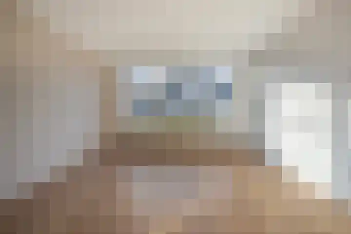 Schapenweide 6 Duiven thumbnail 14