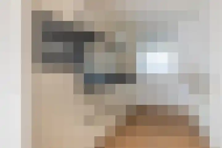 Schapenweide 6 Duiven thumbnail 16