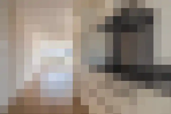 Schapenweide 6 Duiven thumbnail 18