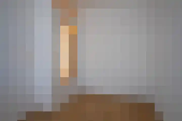 Schapenweide 6 Duiven thumbnail 20