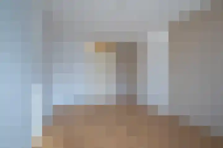 Schapenweide 6 Duiven thumbnail 22