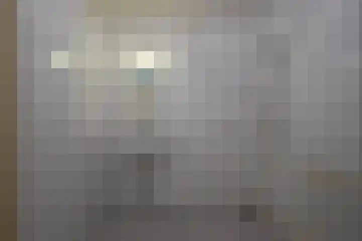 Schapenweide 6 Duiven thumbnail 23