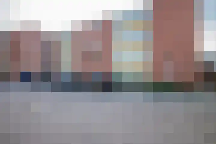 Schapenweide 6 Duiven thumbnail 25
