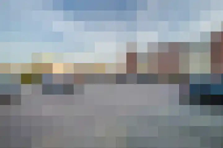Schapenweide 6 Duiven thumbnail 26