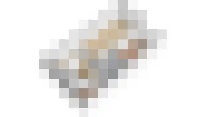 Schapenweide 6 Duiven thumbnail 29