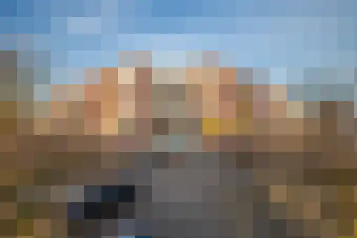 Schapenweide 6 Duiven thumbnail 5