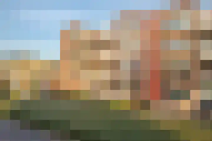 Schapenweide 6 Duiven thumbnail 6