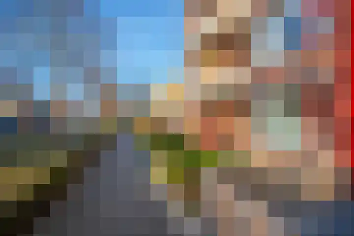 Schapenweide 6 Duiven thumbnail 8