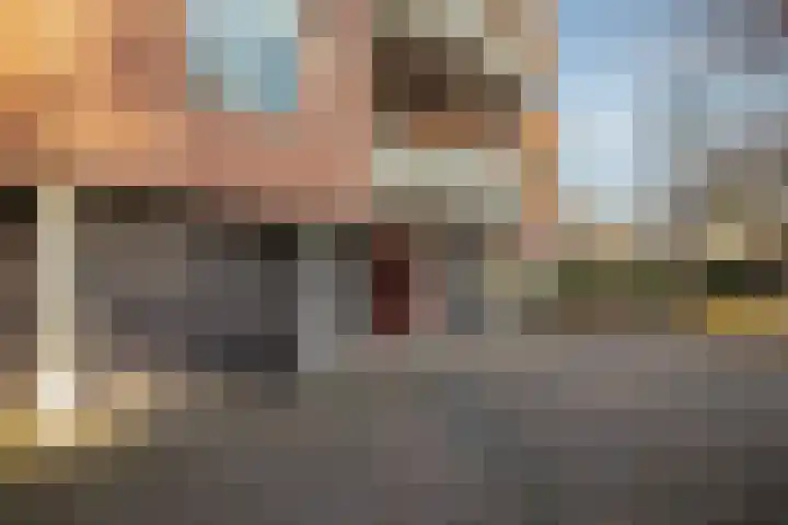 Schapenweide 6 Duiven thumbnail 9