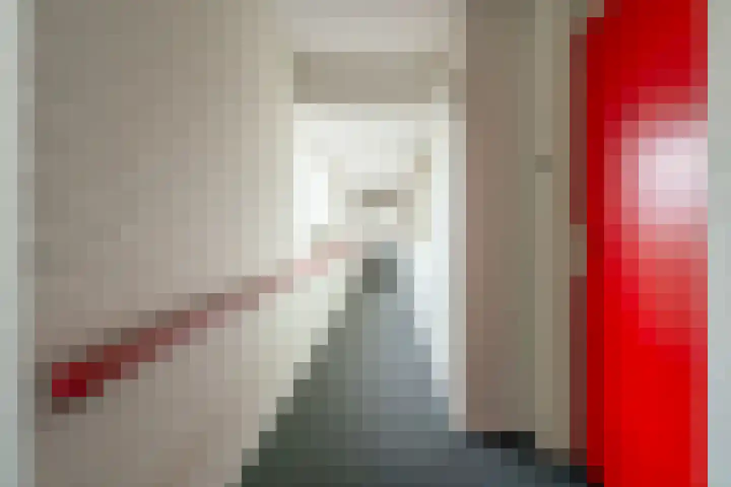 Schapenweide 72 Duiven thumbnail 10