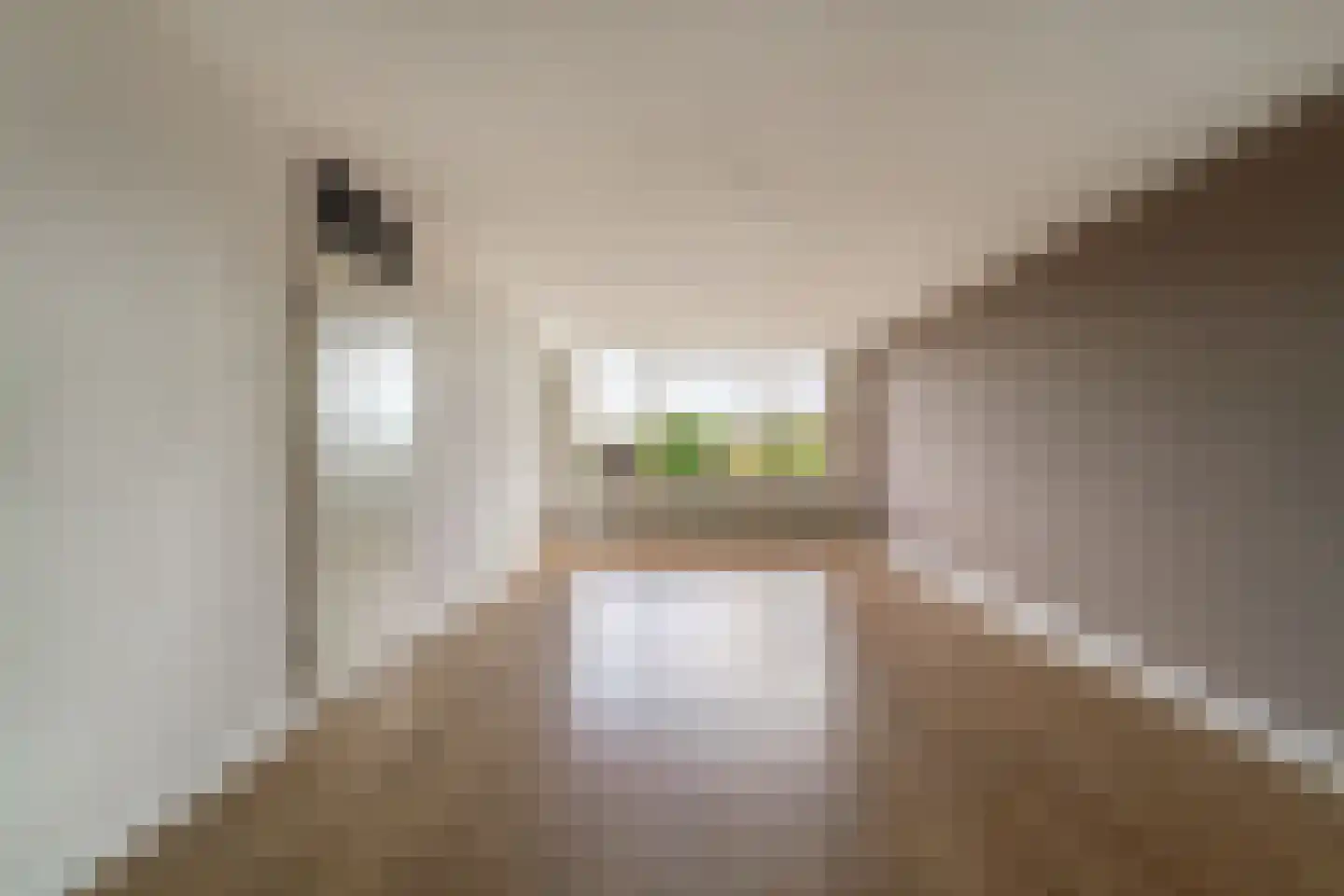 Schapenweide 72 Duiven thumbnail 16