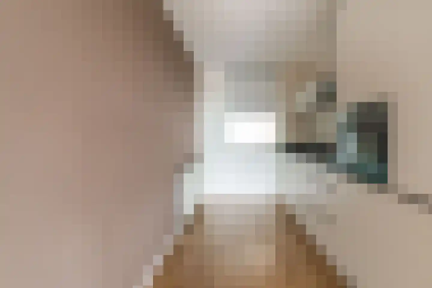 Schapenweide 72 Duiven thumbnail 18