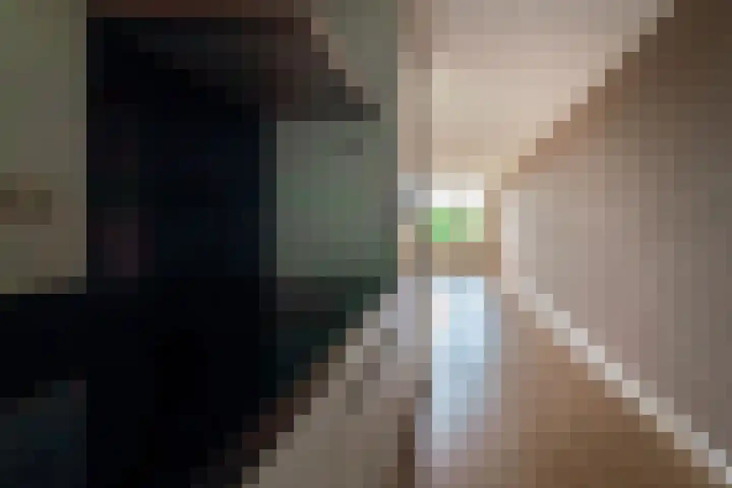 Schapenweide 72 Duiven thumbnail 22