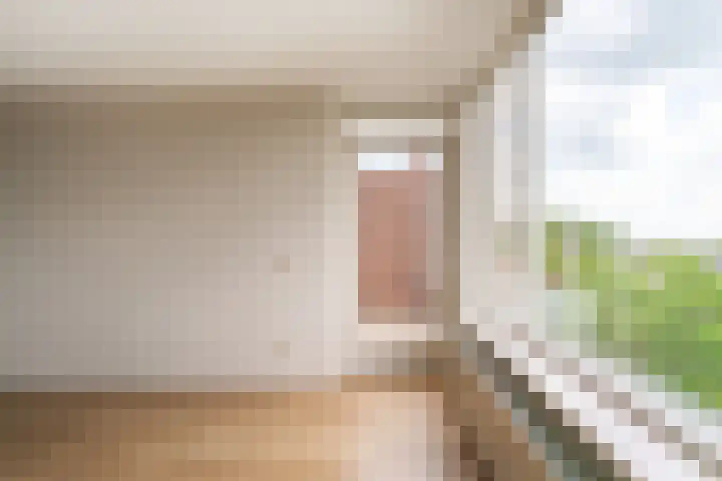 Schapenweide 72 Duiven thumbnail 23