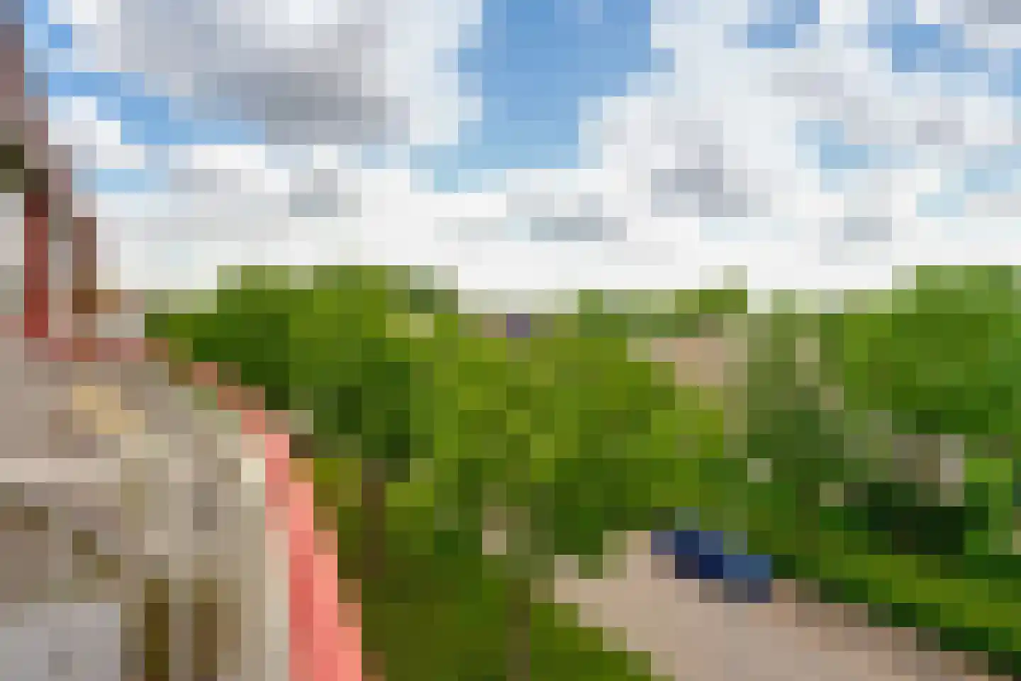 Schapenweide 72 Duiven thumbnail 25
