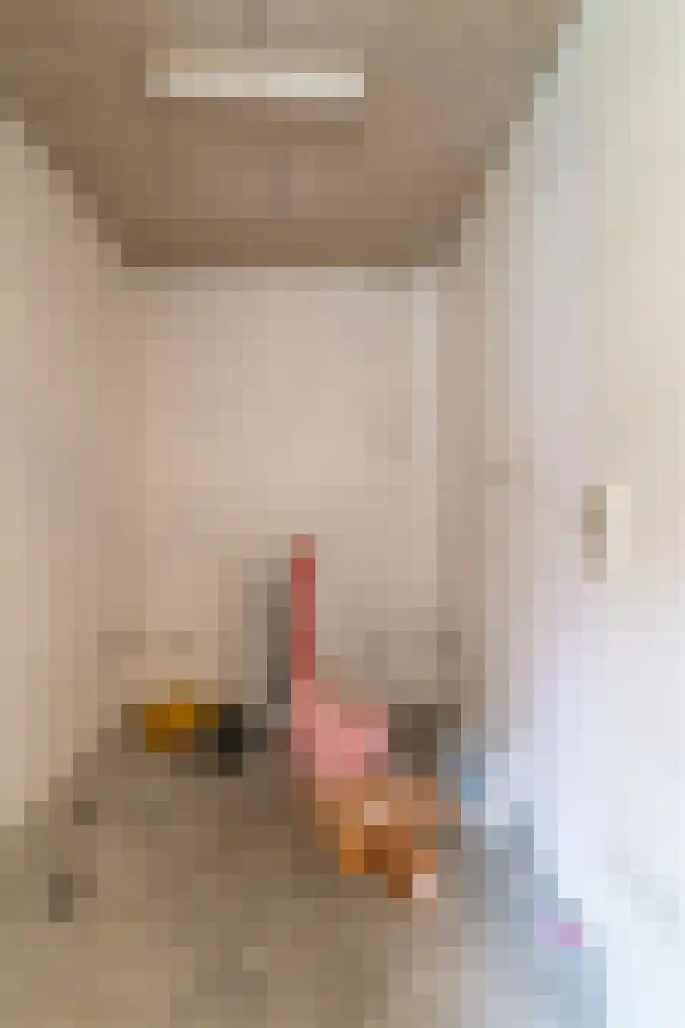Schapenweide 72 Duiven thumbnail 33