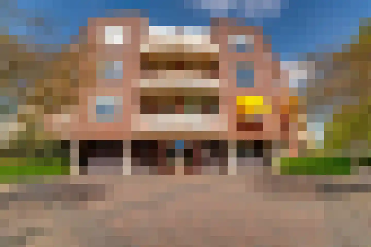 Schapenweide 72 Duiven thumbnail 5