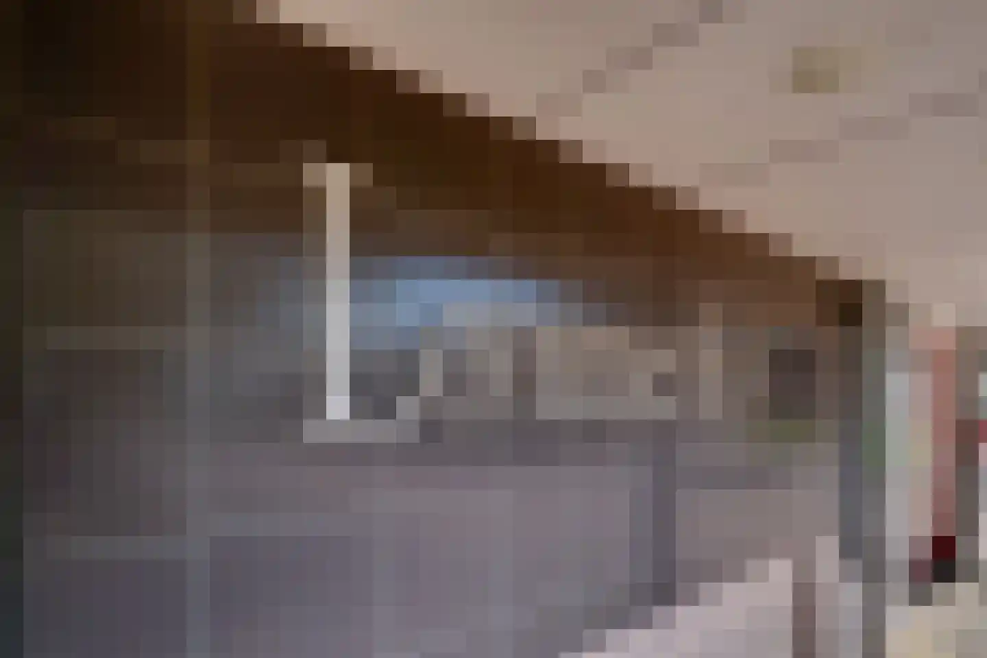 Schapenweide 72 Duiven thumbnail 7