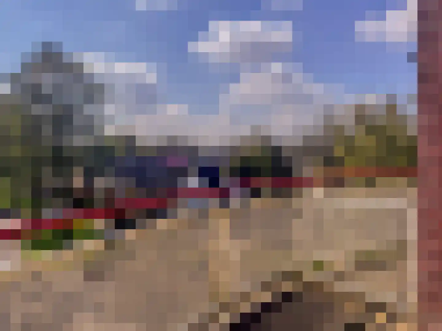 Schapenweide 74 Duiven thumbnail 36
