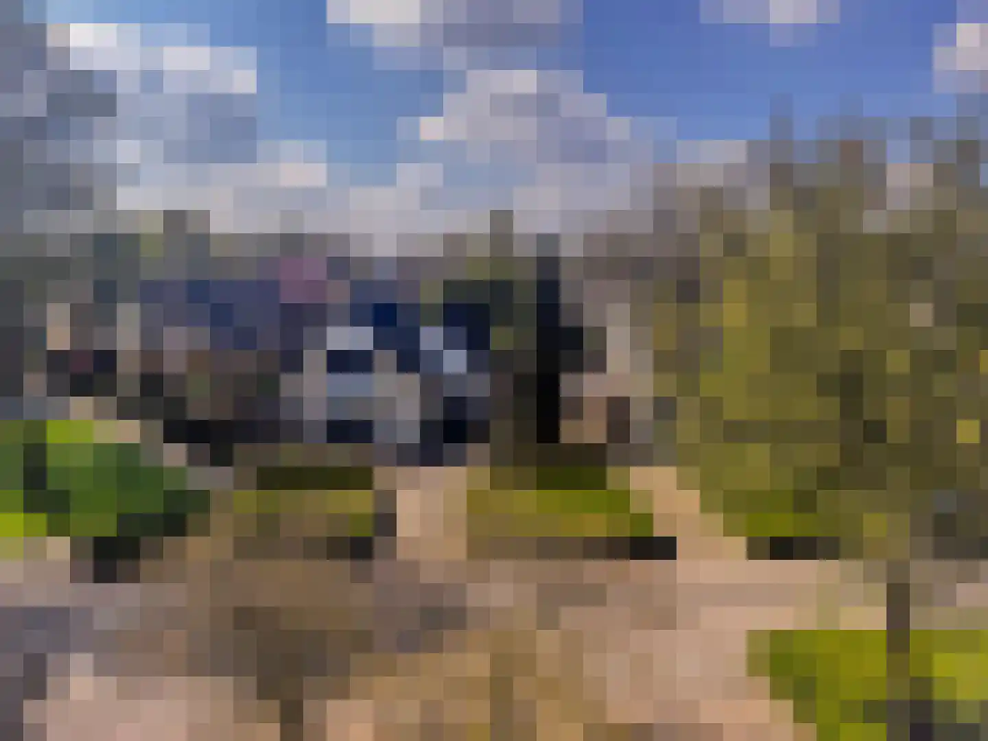Schapenweide 74 Duiven thumbnail 38