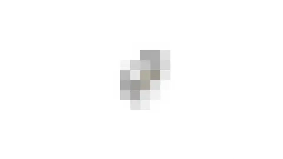 Schapenweide 74 Duiven thumbnail 44