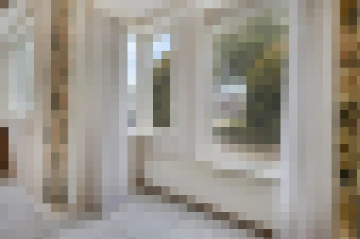 Schapenweide 77 Duiven thumbnail 12