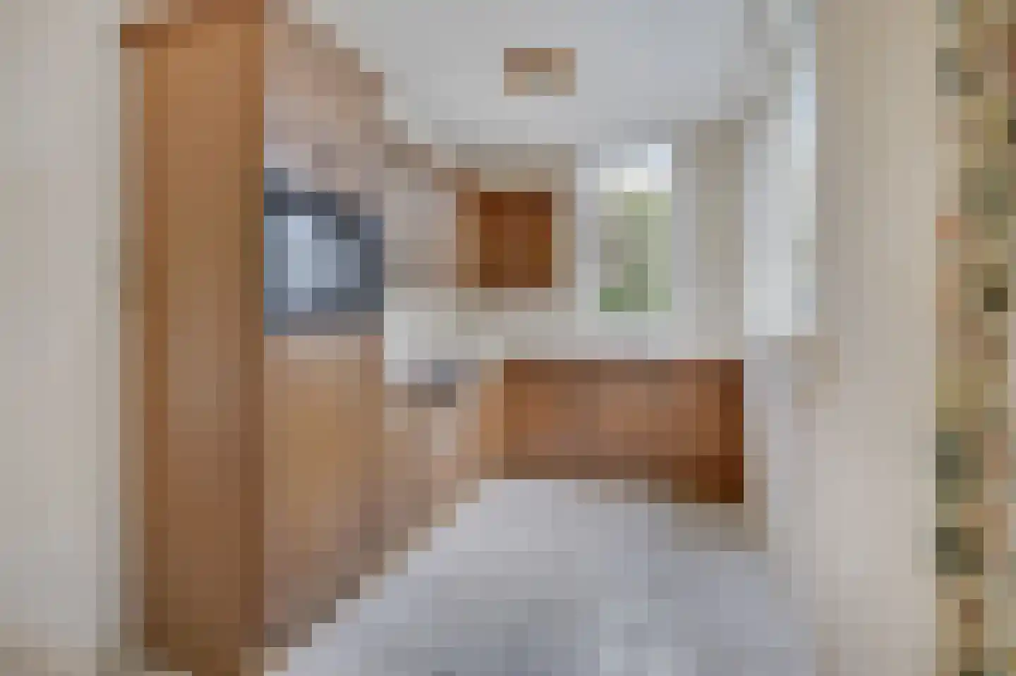 Schapenweide 77 Duiven thumbnail 13