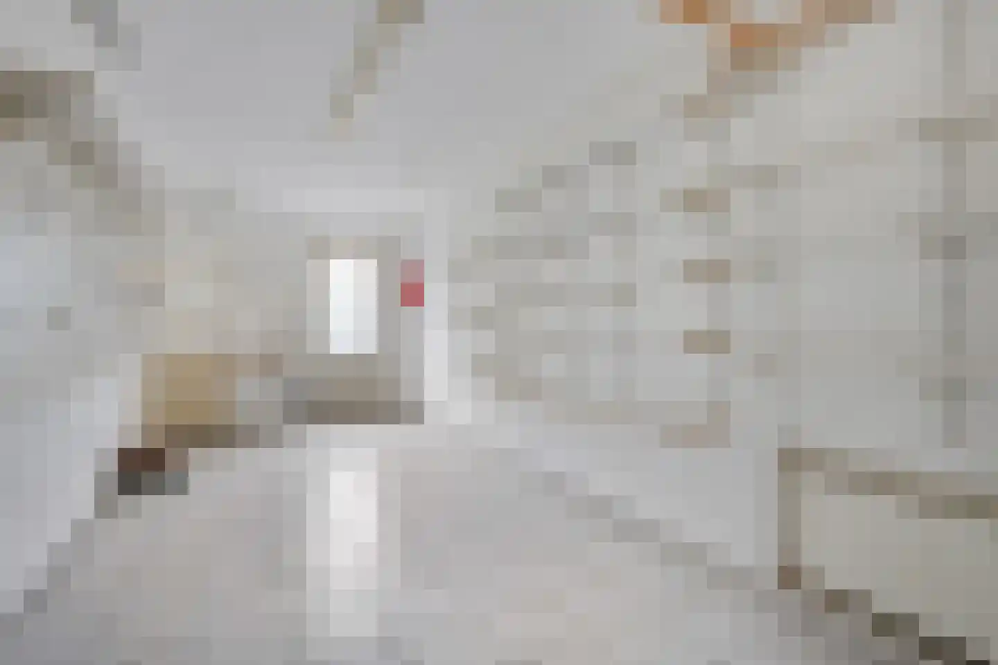 Schapenweide 77 Duiven thumbnail 24