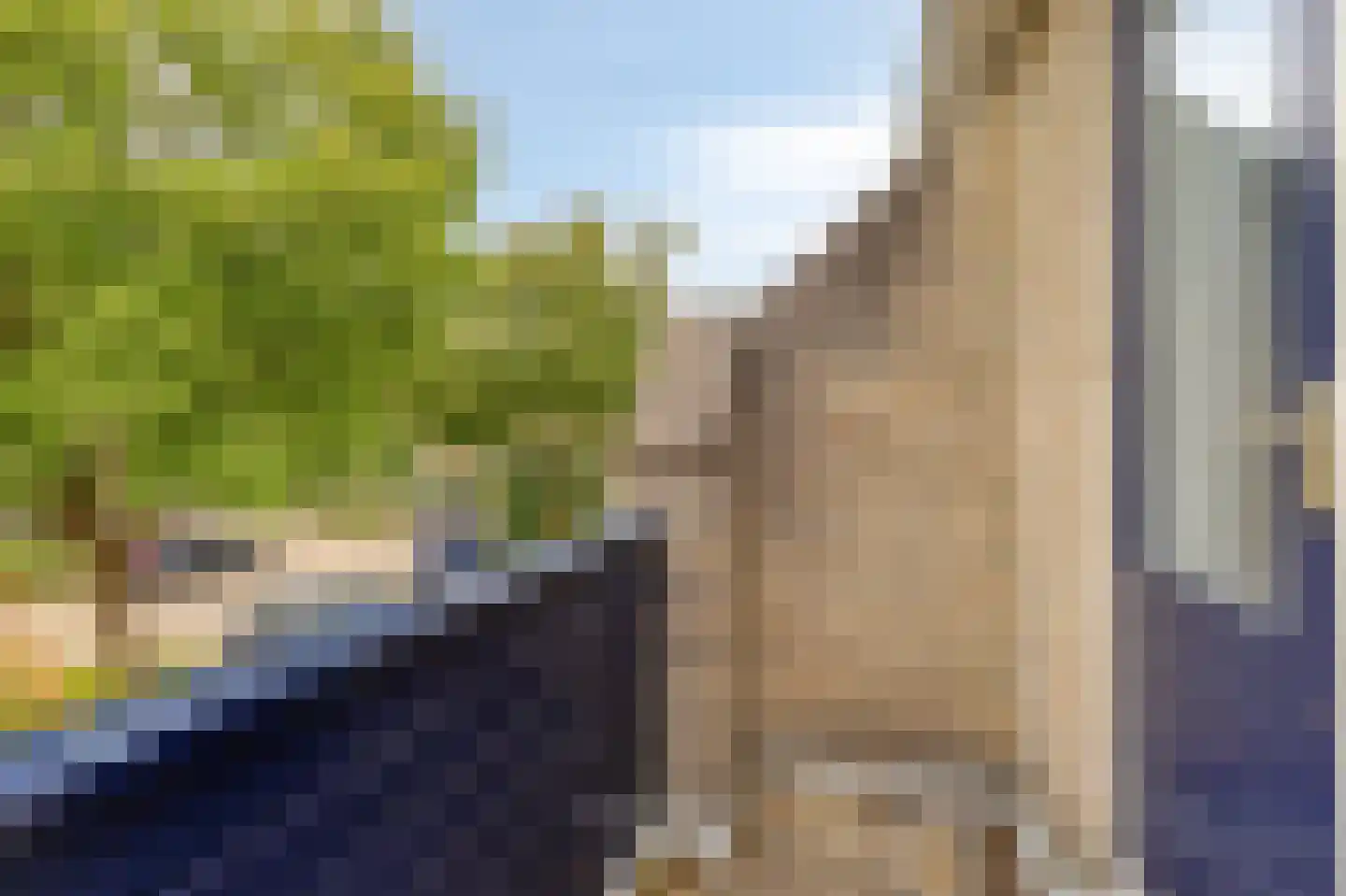 Schapenweide 77 Duiven thumbnail 29