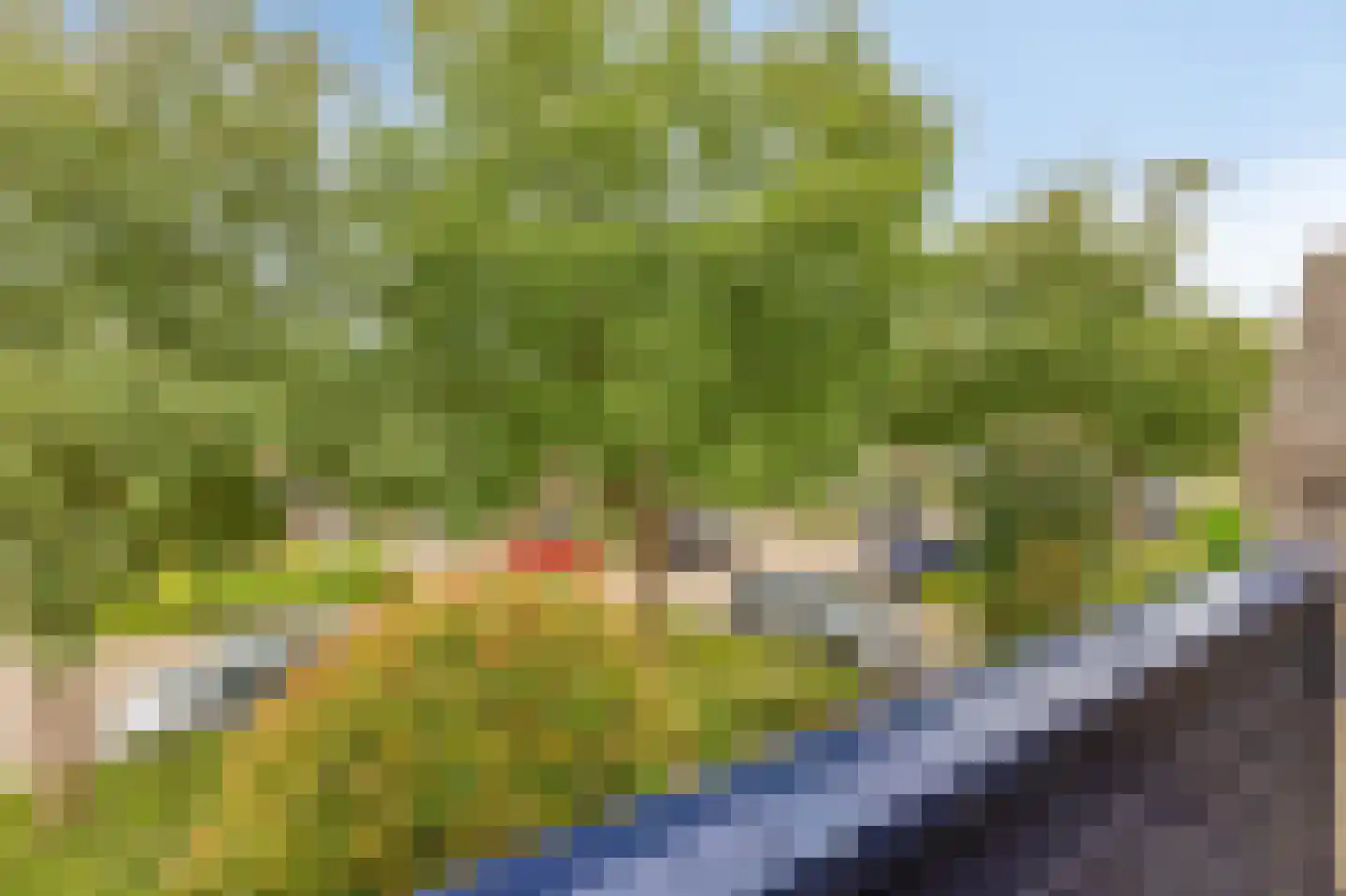 Schapenweide 77 Duiven thumbnail 30