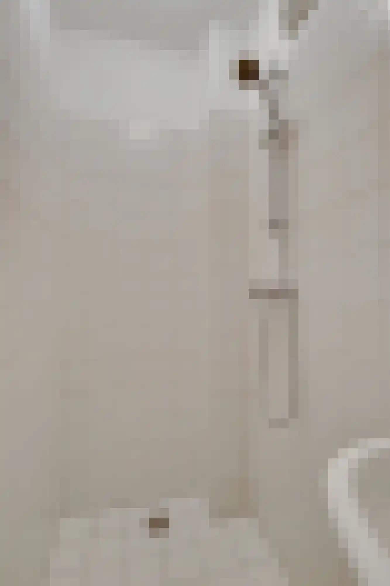 Schapenweide 77 Duiven thumbnail 31