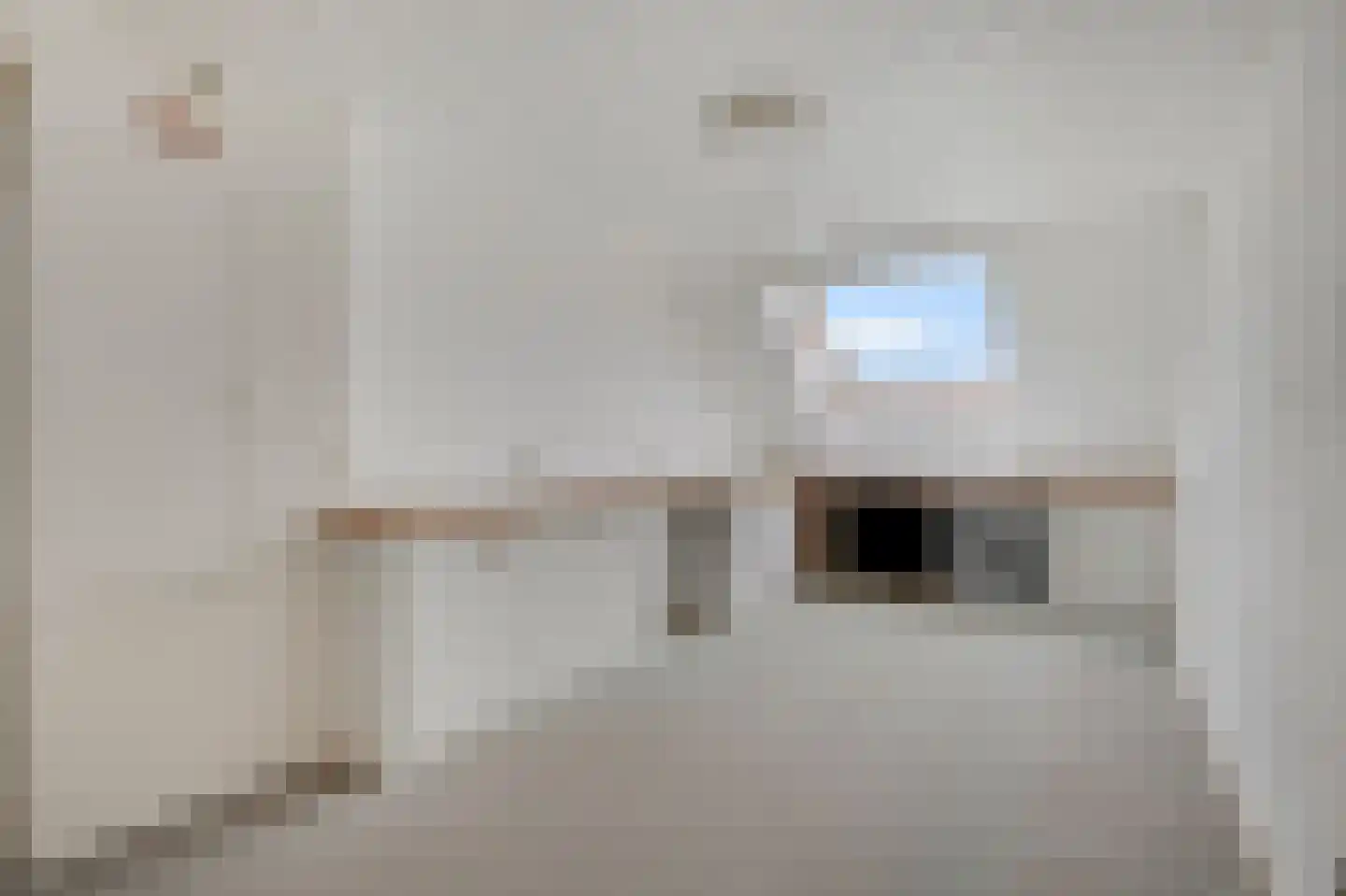 Schapenweide 77 Duiven thumbnail 43