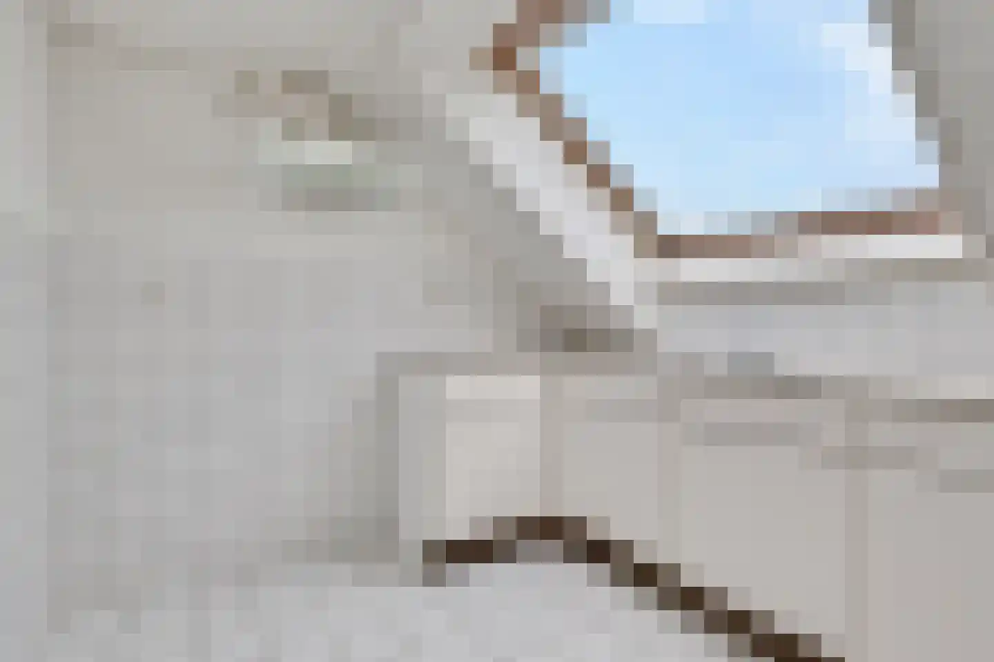 Schapenweide 77 Duiven thumbnail 46