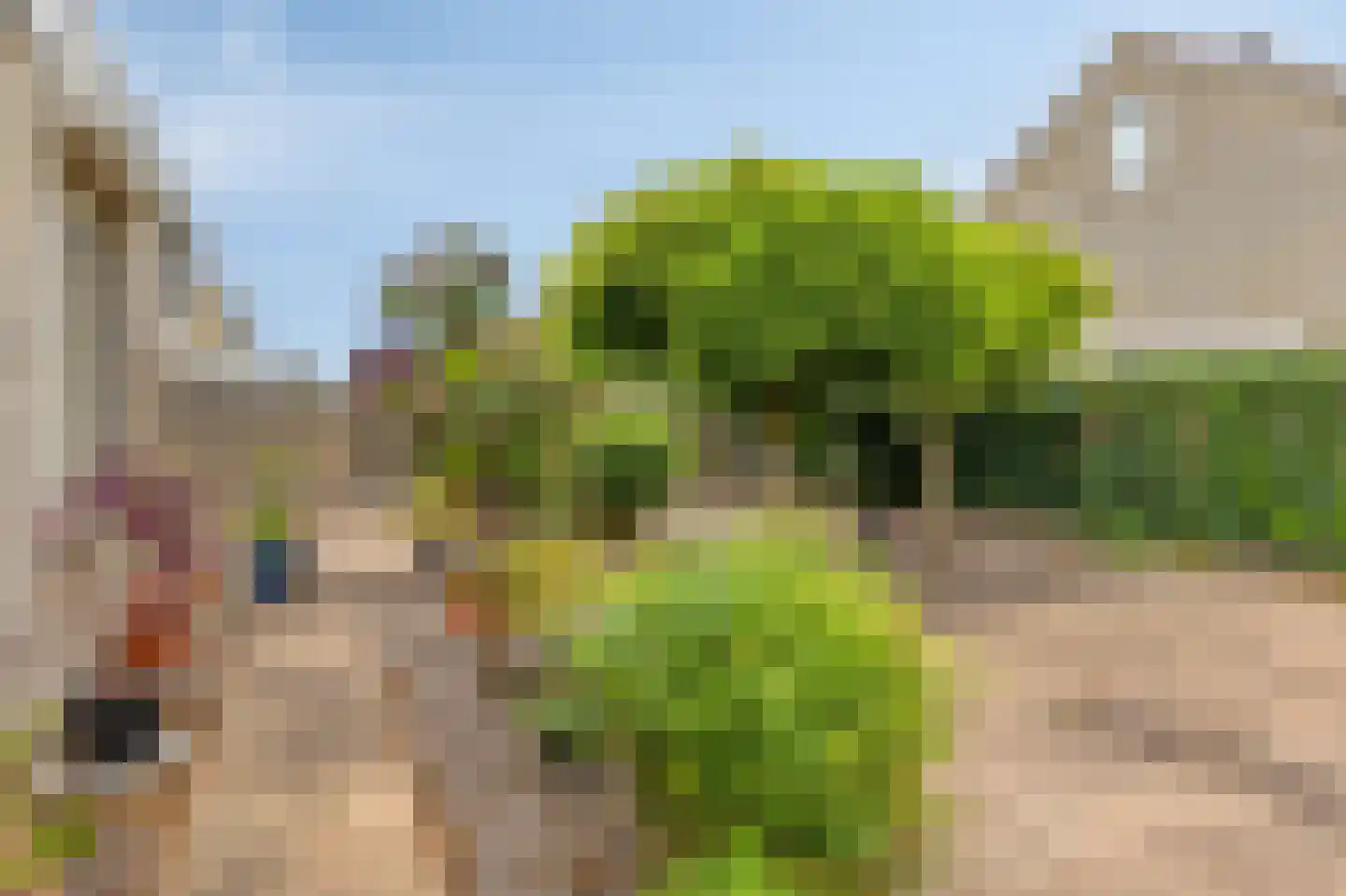 Schapenweide 77 Duiven thumbnail 49