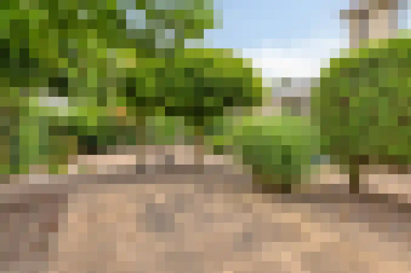 Schapenweide 77 Duiven thumbnail 50