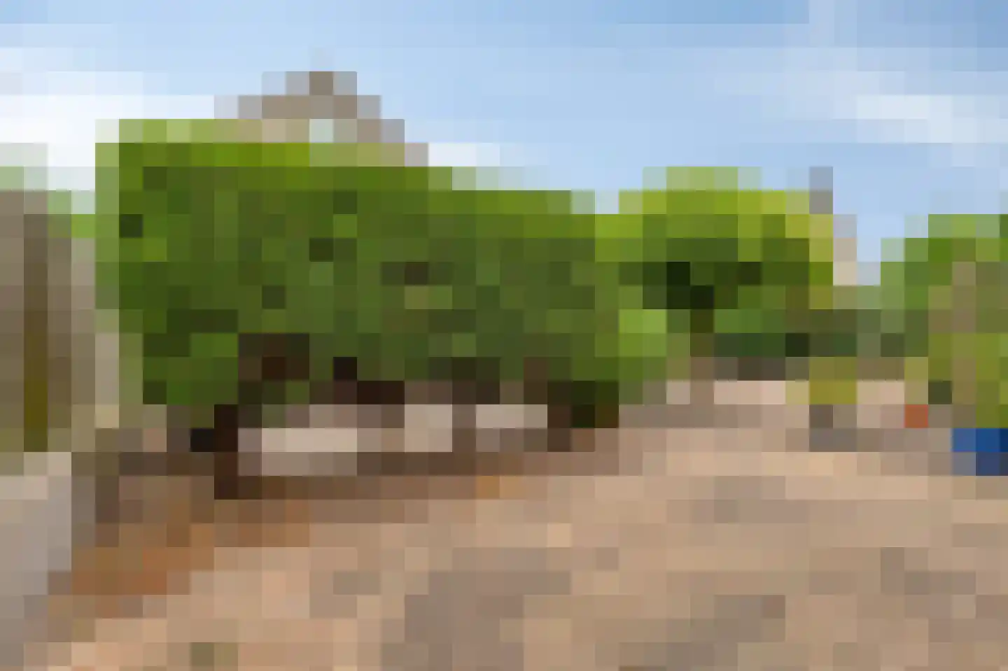 Schapenweide 77 Duiven thumbnail 51