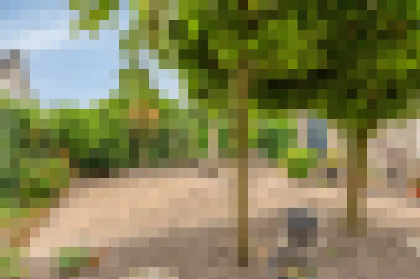 Schapenweide 77 Duiven thumbnail 53