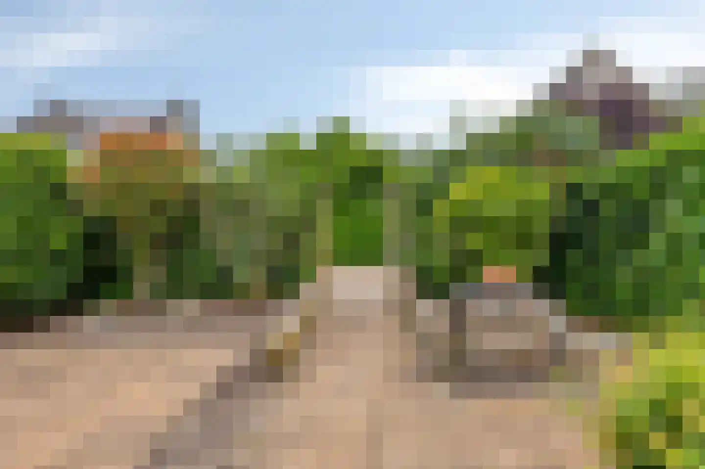 Schapenweide 77 Duiven thumbnail 54