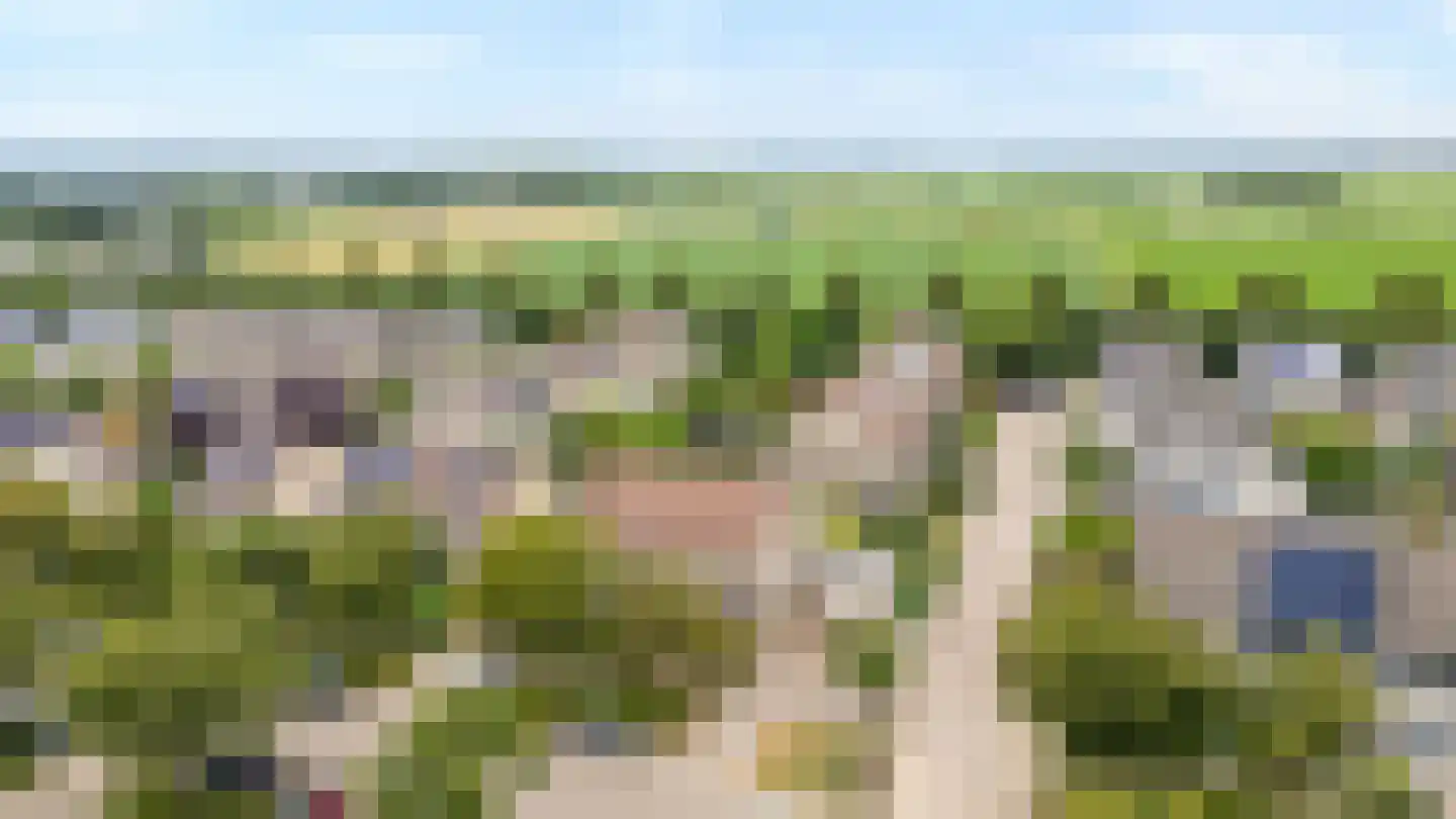 Schapenweide 77 Duiven thumbnail 57