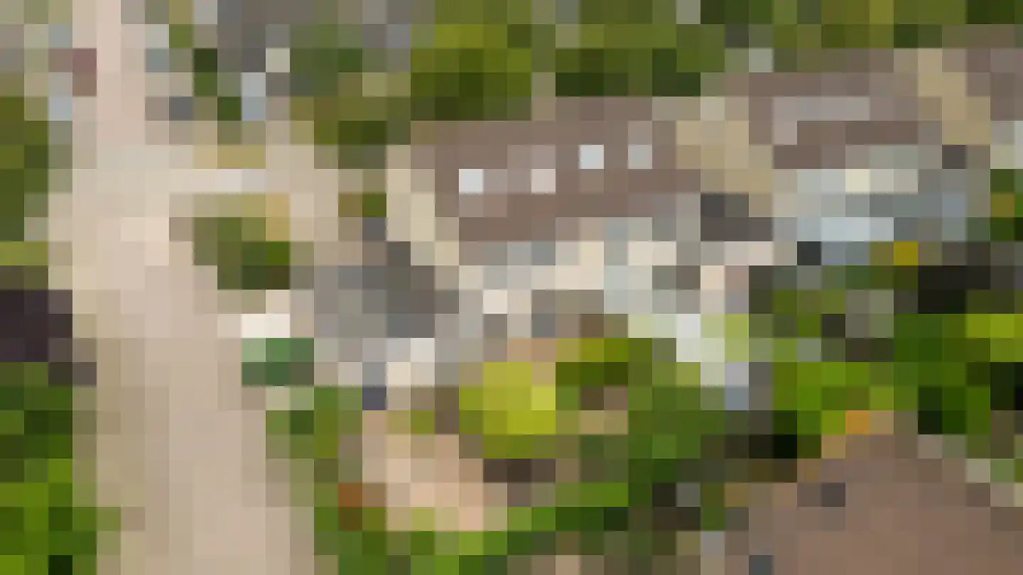 Schapenweide 77 Duiven thumbnail 58
