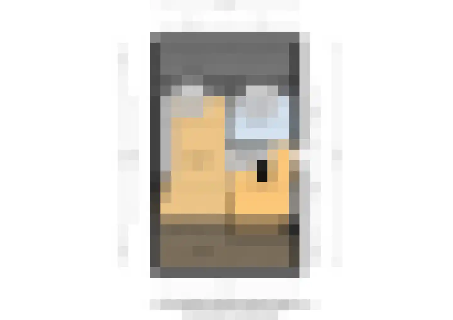 Schapenweide 77 Duiven thumbnail 65