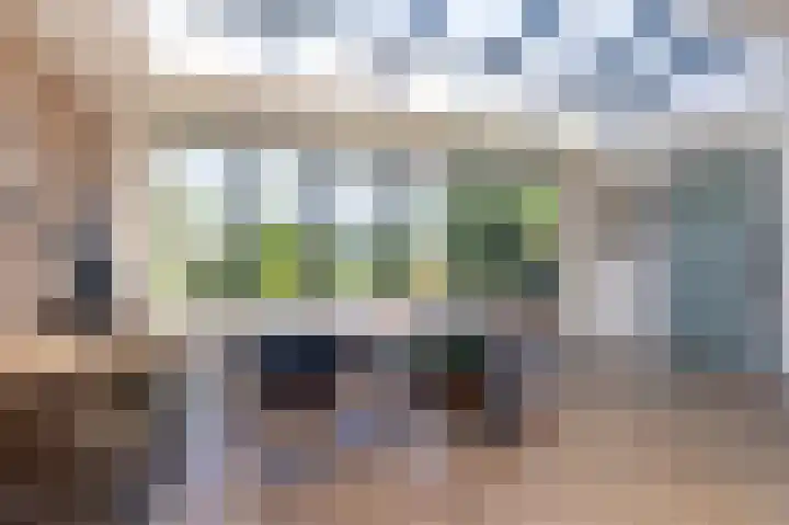 Schapenweide 8 Zwaag thumbnail 11