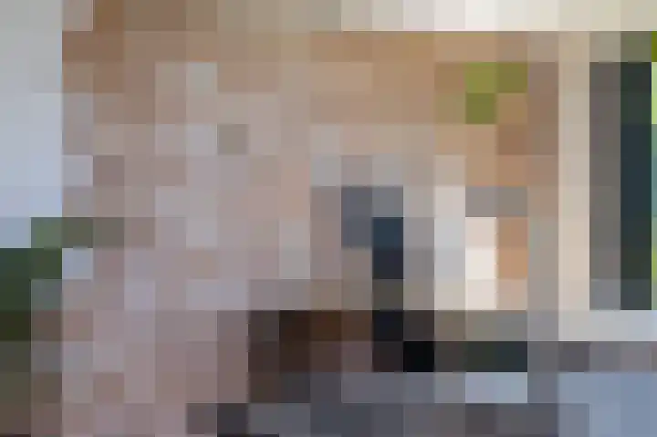 Schapenweide 8 Zwaag thumbnail 12
