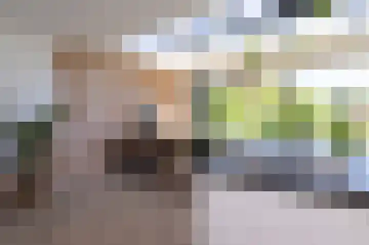 Schapenweide 8 Zwaag thumbnail 13
