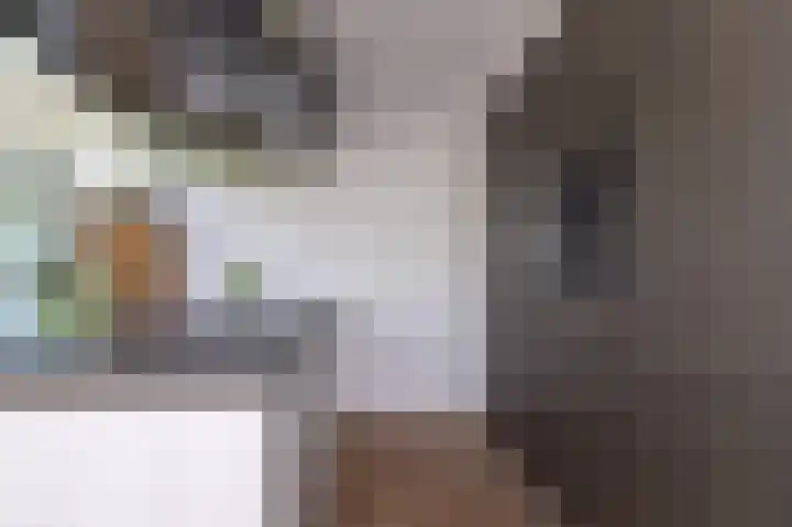 Schapenweide 8 Zwaag thumbnail 14